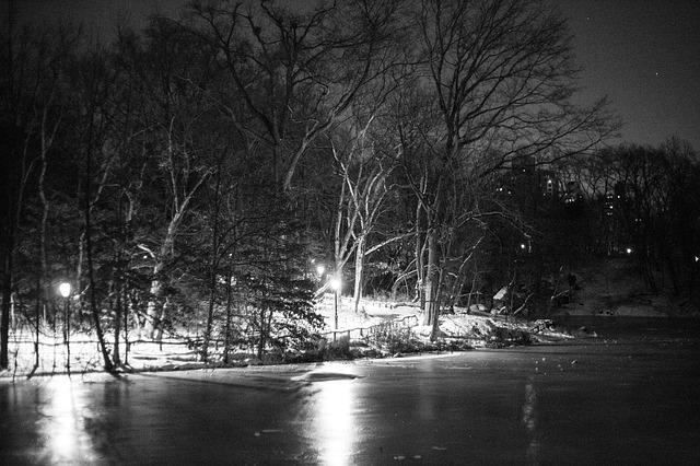 central park notte ombra